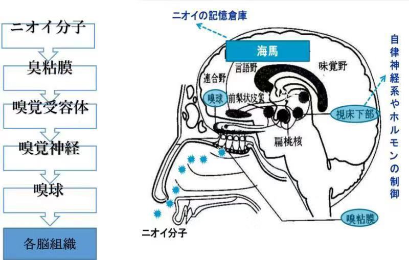 石國慶3.png