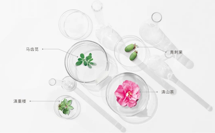 微信截圖_20221114103224.png