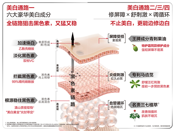 未標題-2.jpg