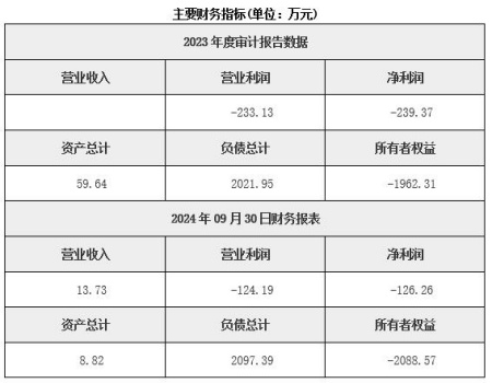 湖北信息系統安全技術服務公司轉讓項目