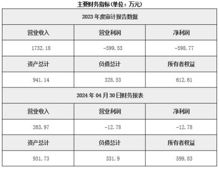 新疆水力發電公司轉讓項目