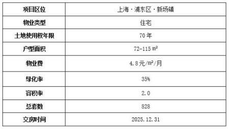 上海浦東新場住宅出售項目